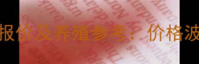 图片 X月X日肉鸡苗最新报价及养殖参考：价格波动趋势与市场分析