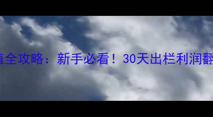 图片 一斤左右白公鸡苗养殖全攻略：新手必看！30天出栏利润翻倍，附详细技术要点1
