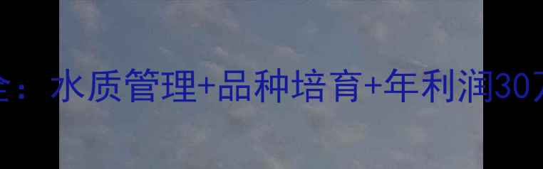 图片 上海锦鲤生态养殖全：水质管理+品种培育+年利润30万+的实战经验分享1