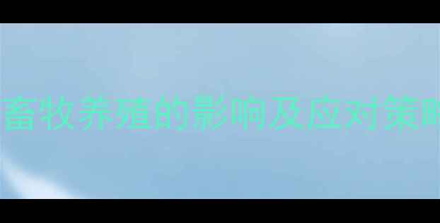 图片 东北玉米价格波动对畜牧养殖的影响及应对策略（附最新价格表）1