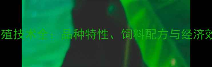 图片 中华斗鸡高效养殖技术全：品种特性、饲料配方与经济效益最大化指南2
