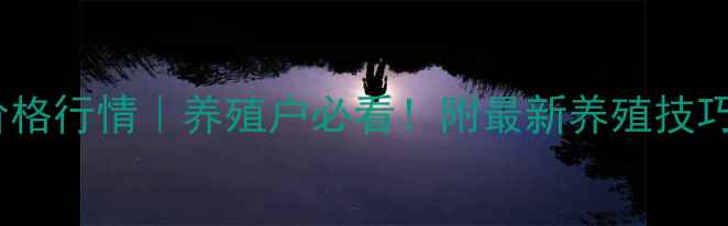 图片 今日安徽肉鸡价格行情｜养殖户必看！附最新养殖技巧+未来趋势预测