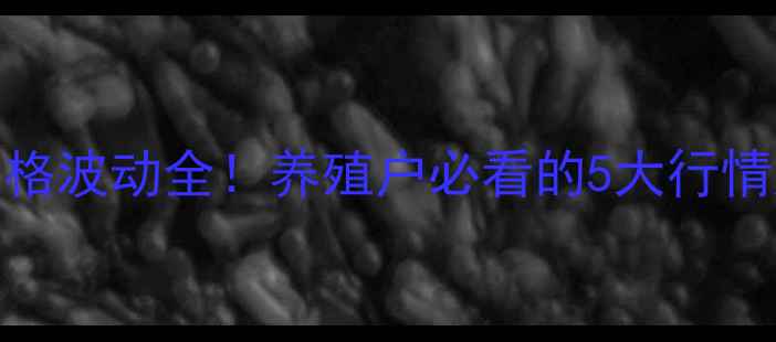 图片 今日湖北省生猪价格波动全！养殖户必看的5大行情趋势与应对策略🐷