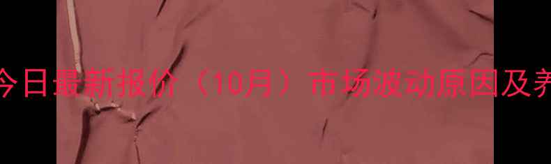 图片 全国生猪价格今日最新报价（10月）市场波动原因及养殖户参考指南