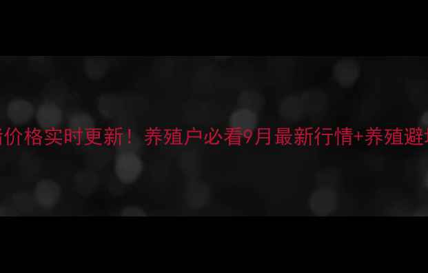 图片 全国生猪价格实时更新！养殖户必看9月最新行情+养殖避坑指南🐷