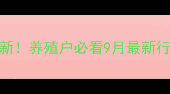 图片 全国生猪价格实时更新！养殖户必看9月最新行情+养殖避坑指南🐷1