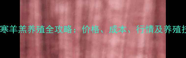 图片 兰州小尾寒羊羔养殖全攻略：价格、成本、行情及养殖技术指南2