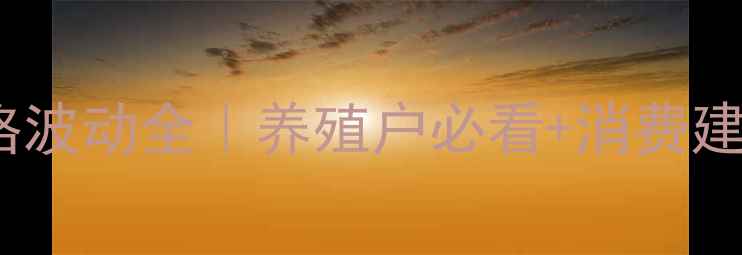 图片 北川猪肉价格波动全｜养殖户必看+消费建议+未来趋势