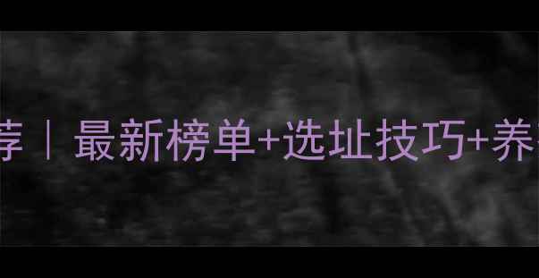 图片 吉林省优质肉牛养殖场推荐｜最新榜单+选址技巧+养殖技术全（附联系方式）1