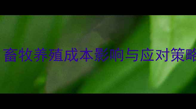 图片 嫩玉米价格波动分析：畜牧养殖成本影响与应对策略（附最新行情数据）2