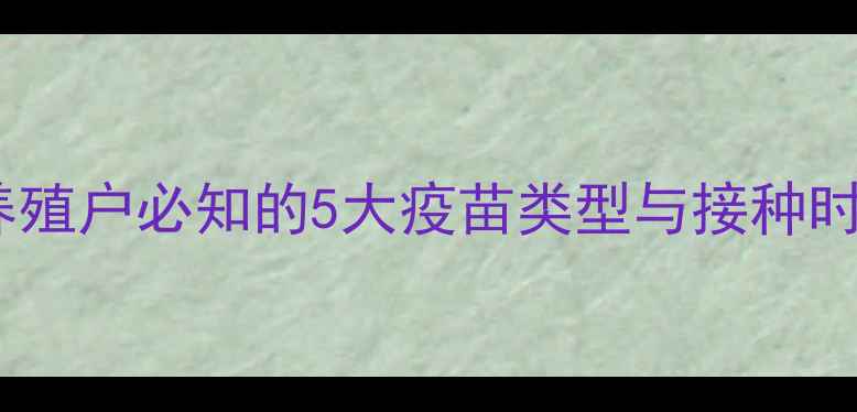 图片 小猪科学免疫程序：养殖户必知的5大疫苗类型与接种时间表（附操作指南）2