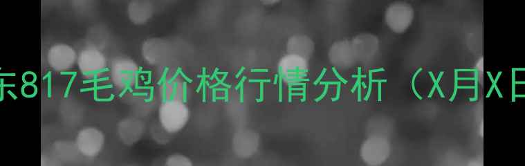 图片 山东817毛鸡价格行情分析（X月X日）