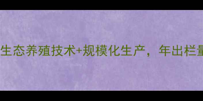 图片 山东嘉祥野兔养殖基地：生态养殖技术+规模化生产，年出栏量超50万只的致富新路径1