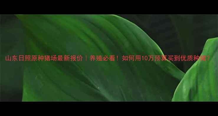 图片 山东日照原种猪场最新报价｜养殖必看！如何用10万预算买到优质种猪？