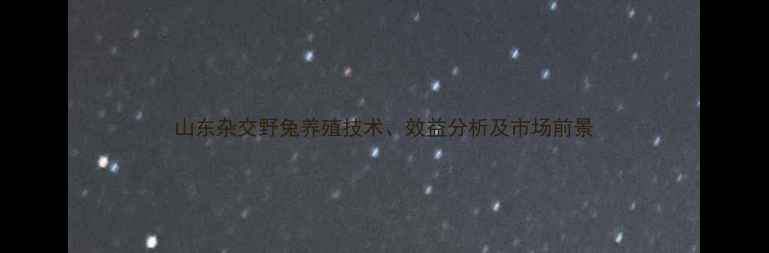 图片 山东杂交野兔养殖技术、效益分析及市场前景