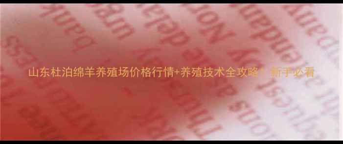 图片 山东杜泊绵羊养殖场价格行情+养殖技术全攻略！新手必看