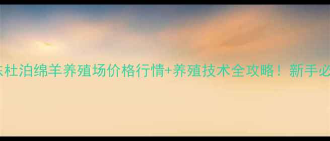 图片 山东杜泊绵羊养殖场价格行情+养殖技术全攻略！新手必看1