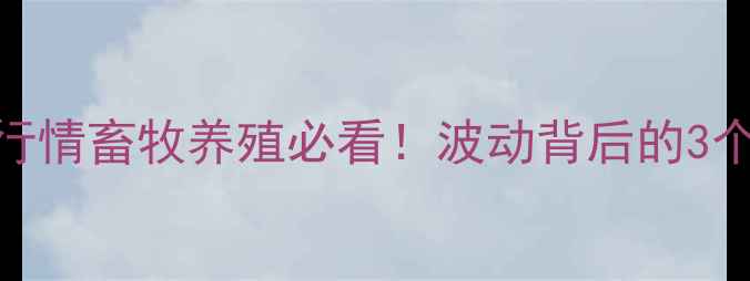 图片 山东玉米价格最新行情畜牧养殖必看！波动背后的3个关键点+应对策略1