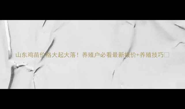 图片 山东鸡苗价格大起大落！养殖户必看最新报价+养殖技巧🐔