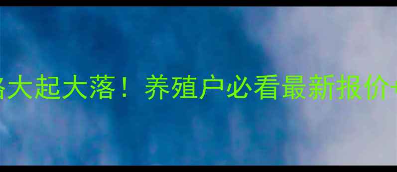 图片 山东鸡苗价格大起大落！养殖户必看最新报价+养殖技巧🐔2