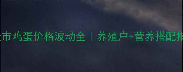 图片 文登市鸡蛋价格波动全｜养殖户+营养搭配指南1