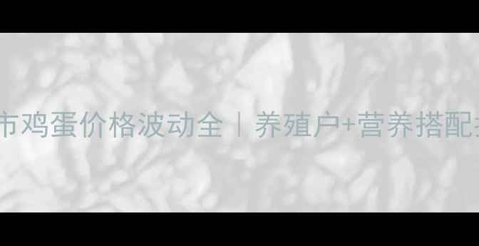 图片 文登市鸡蛋价格波动全｜养殖户+营养搭配指南2