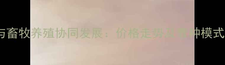 图片 新疆籽棉种植与畜牧养殖协同发展：价格走势及套种模式经济效益分析2