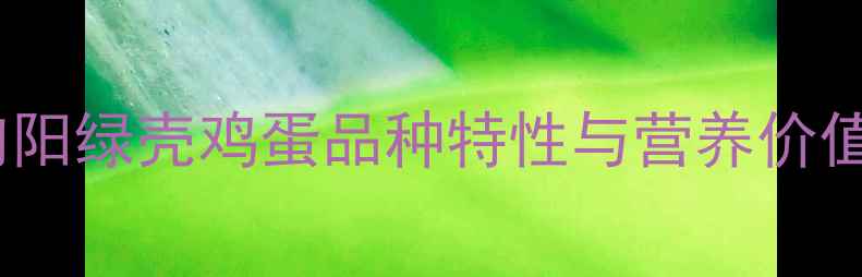 图片 旬阳绿壳鸡蛋品种特性与营养价值2