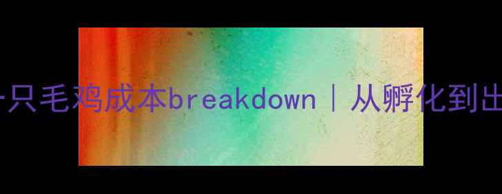 图片 最新数据！养殖一只毛鸡成本breakdown｜从孵化到出栏全流程成本🐔2