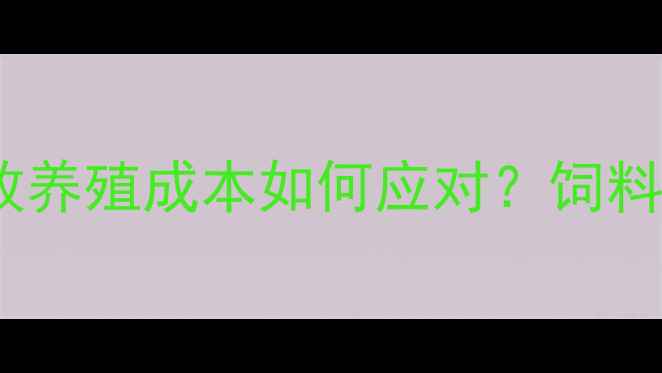 图片 最新棉籽价格持续攀升，畜牧养殖成本如何应对？饲料配方调整与成本控制策略全2