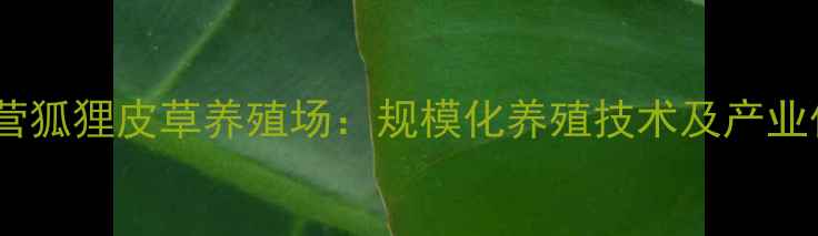 图片 河北大营狐狸皮草养殖场：规模化养殖技术及产业优势全2