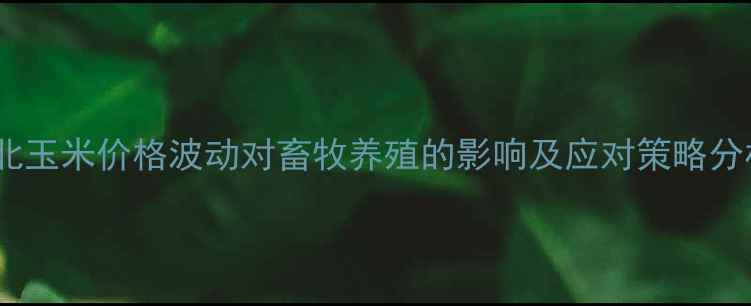 图片 河北玉米价格波动对畜牧养殖的影响及应对策略分析1