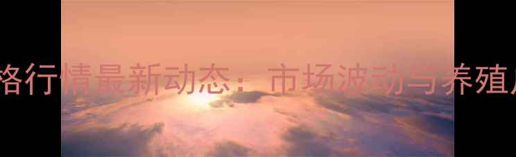 图片 河南肉鸡价格行情最新动态：市场波动与养殖户应对策略1