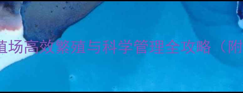 图片 波尔山羊养殖场高效繁殖与科学管理全攻略（附市场数据）2