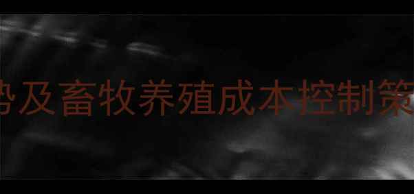 图片 玉米价格走势及畜牧养殖成本控制策略深度分析1