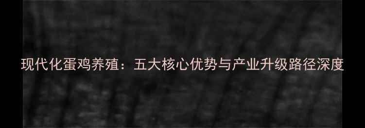 图片 现代化蛋鸡养殖：五大核心优势与产业升级路径深度