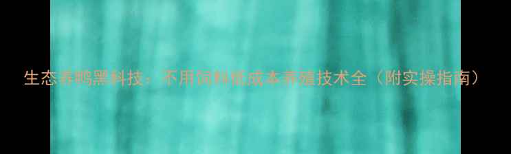图片 生态养鸭黑科技：不用饲料低成本养殖技术全（附实操指南）