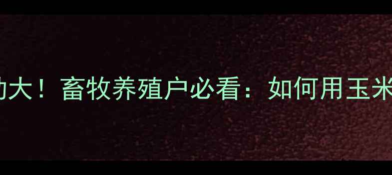 图片 福建玉米价格波动大！畜牧养殖户必看：如何用玉米饲料降本增效？2
