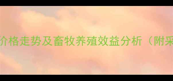 图片 籽棉饲料价格走势及畜牧养殖效益分析（附采购指南）