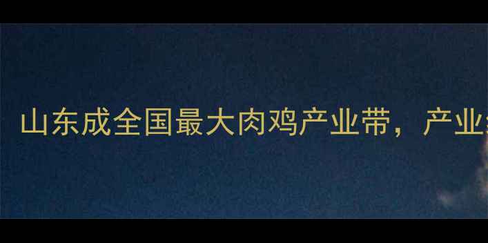 图片 肉鸡养殖规模破亿只！山东成全国最大肉鸡产业带，产业经济与养殖模式深度2