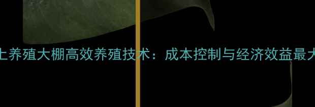 图片 肉鸭网上养殖大棚高效养殖技术：成本控制与经济效益最大化指南