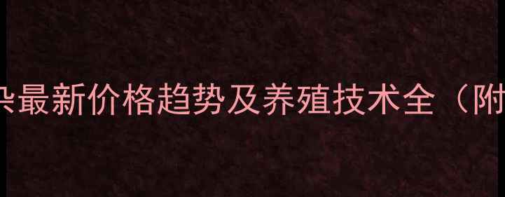 图片 菏泽817肉杂最新价格趋势及养殖技术全（附市场分析）