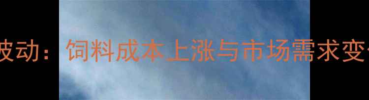 图片 襄阳生猪价格波动：饲料成本上涨与市场需求变化的双重影响2