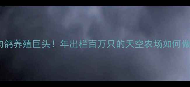 图片 辽宁肉鸽养殖巨头！年出栏百万只的天空农场如何做到？1