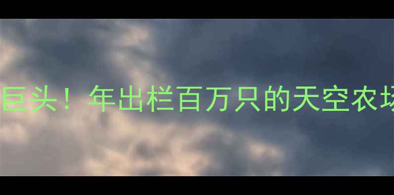 图片 辽宁肉鸽养殖巨头！年出栏百万只的天空农场如何做到？2