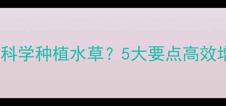 图片 黑鱼养殖塘如何科学种植水草？5大要点高效增氧与水质调控2