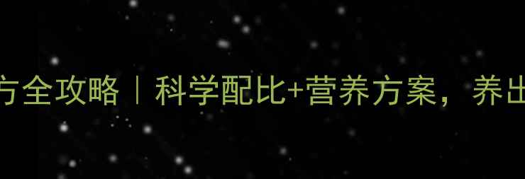 图片 🌟产蛋鸡饲料配方全攻略｜科学配比+营养方案，养出高产蛋鸡！🐔💪