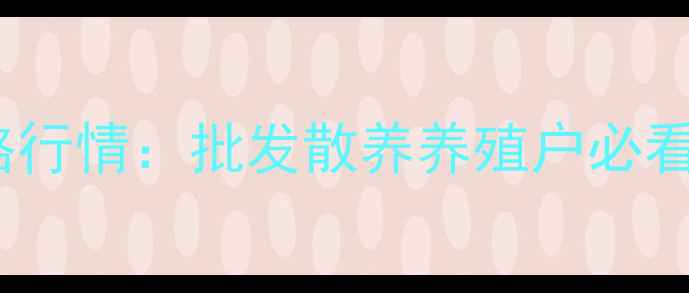 图片 🌟实时更新河南817肉鸡今日价格行情：批发散养养殖户必看！附养殖成本与市场趋势分析🔥