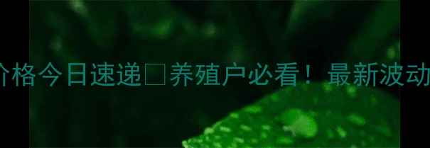 图片 🌟平舆生猪价格今日速递🔥养殖户必看！最新波动+养殖技巧全