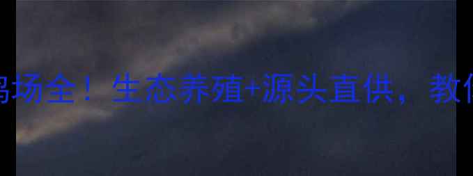 图片 🌟广东梅州养殖鸡场全！生态养殖+源头直供，教你如何选对鸡场🌟